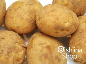 �W���K���w�j�݁q�_���V���N�r���x1�P�[�X�A50�`100�O��A10Kg�O��