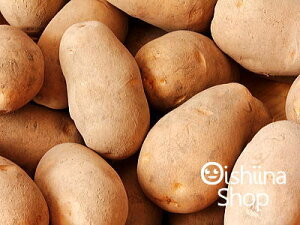 WKw[NCx1P[XA40`80OA10KgO