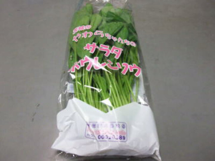 最大60%オフ! 送料無料 朝市場の新鮮野菜 サラダほうれん草 約100g 袋 x2個セット 冷蔵 最大60%オフ! 送料無料 朝市場の新鮮野菜 サラダほうれん草 約100g 袋 x2個セット 冷蔵