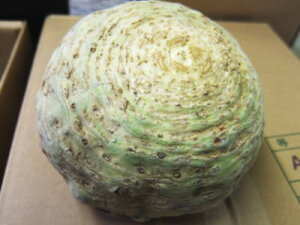 �Z�����A�b�N�ʏ́F���Z����1�A0.5Kg�`1Kg�O��