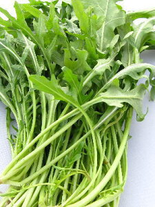 Zo`R1P[XA20pbNOA1Kg`2KgO