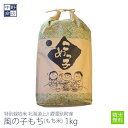 【令和7年度産】もち米 1kg 特別栽培米/北海道産 風の子もち上川郡愛別町【生産者 上川中央農協】(節減対象農薬5割減…