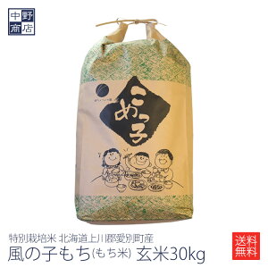 玄米 もち米 30kg」の人気商品一覧 | 安い商品を通販サイトから探す 
