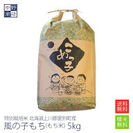 【令和7年度産】もち米 5kg 特別栽培米/北海道産 風の子もち上川郡愛別町【生産者 上川中央農協】(節減対…