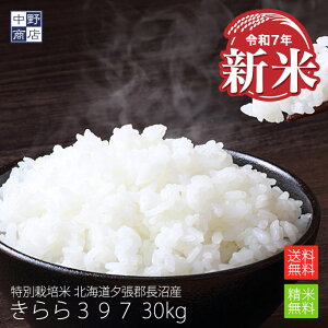 新米 【令和7年度産】送料無料 特別栽培米 減農薬栽培米 玄米 米 /北海道産 きらら397 30kg長沼町【生産者 小林 邦弘さん】特別栽培(節減対象農薬8割減・化学肥料5割減)白米 分づき米 米 北