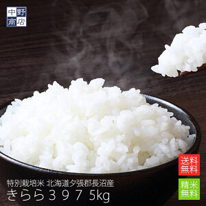 きらら397の人気商品 通販 価格比較 価格 Com きらら397の人気商品 通販 価格比較 価格 Com