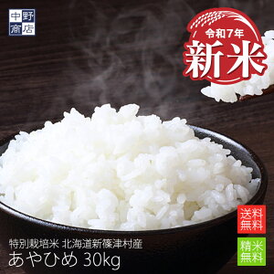 新米 【令和7年度産】送料無料 特別栽培米 減農薬栽培米 玄米 米 /北海道産 あやひめ 30kg新篠津村【生産者 井伊 秀一さん】特別栽培米(節減対象農薬7割減・化学肥料5割減)白米 分づき米