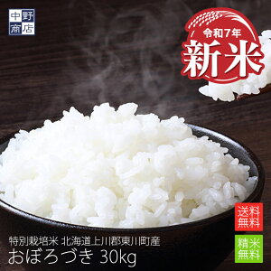 新米 【令和7年度産】送料無料 特別栽培米/北海道産 おぼろづき 30kg上川郡東川町 【生産者 佐竹 国弘さん】特別栽培米(節減対象農薬 8割減 化学肥料(窒素成分)6割減)玄米 米 お米 北海道