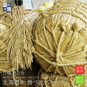 【令和6年度産】2合×5個セット レターパック送料無料 北海道産 お試しサイズ 食べ比べセット (ゆめぴりか ななつぼし おぼろづき ふっくりんこ きたくりん)