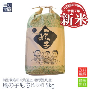 V yߘa7NxYz 5kg ʍ͔|/kCY ̎qSʒyY 쒆_z(ߌΏ۔_5Ew엿@5)  5kg 