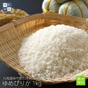 【令和6年度産】 無農薬 米 玄米 北海道産 ゆめぴりか 1kg余市郡仁木町大江 【生産者 金子 英治さん】節減対象農薬 栽培期間中不使用 化学肥料（窒素成分）栽培期間中不使用玄米 白米 分づき米 米 お米