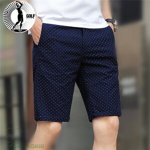 StEFA Y V[gpc St G 傫TCY Xgb` Zp  `FbN t ėp X|[c