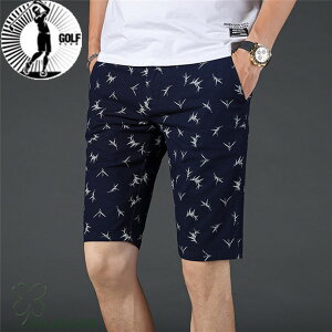 StEFA Y V[gpc St G 傫TCY Xgb` Zp  `FbN t ėp X|[c