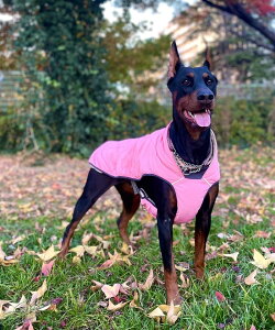 犬服 ナイロン フリース 暖かい アウター ジャケット 中型犬 大型犬 犬 DOG 撥水 ドックウエアー シェルティダルメシアン ボーダーコリー コッカスパニエル ブラドール ゴールデンレトリバー