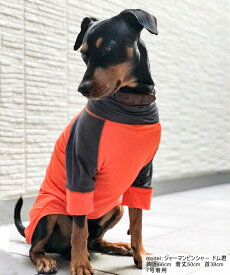 Tシャツ 中型犬 大型犬 犬服 犬 DOG T 吸水 速乾 UVカット UPF50+ 日本製 シェルティダルメシアン ボーダーコリー コッカスパニエル ブラドール ゴールデンレトリバー スンダードプードル ドーベルマンメール便対応