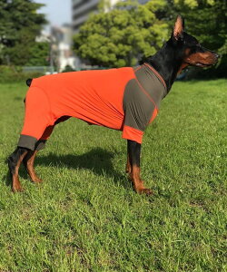 Ȃ p[X ^ ^   DOG TVc z  UVJbg UPF50+ { VFeB_VA {[_[R[ RbJXpjG uh[ S[fgo[ X_