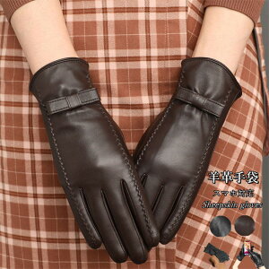 fB[X v U[O[u {v U[ v X}zΉ ^b`plΉ g O[u 킢 U[ p ޏ X}z fB[X N  h ʋ 