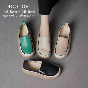 Xj[J[ fB[X  V[Y ₷ ɂ Vv PUU[ C JWA   ʊw ʋ ItBX HV 