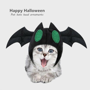 Xq nEBϐg@p L Xq Lp Xq NX}X ybgp Xq ybgpi  ʐ^LO Be RX`[ ȒPϑ LpXq nEB @RXv nEB 