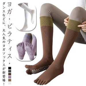 C K\bNX KC C fB[X K ܐ悠 5{w\bNX K ~ߕt  \bNX Ȃ O p wlp Jt g[jO X|[c K W