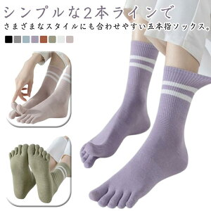 3Zbg 5{w\bNX [\bNX fB[X ܖ{w N[\bNX C  Ci[\bNX n[t\bNX V[g C 5{wC ₦C ₦ƂC ܖ{w d