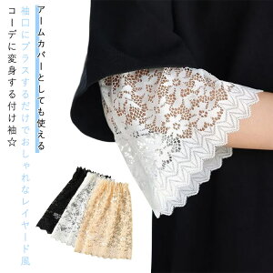 C[h  A[Jo[ƂĂg rp [X t  fB[X  [Xt ȒPCN t UV΍ RXv xX[u tAX[u t d