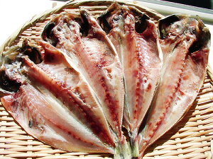 ���Y���^��������(4����)(1��17�`18cm�E1��80�`100g)(�Ⓚ(�①)) ����̐^���E�x�m�R�̗N�����E�V�R�ɂ���g�p �|�����������Ղ蒷�N�g�p�����Ђ��`�ŉ������܂�₩ (�A�W�E��)