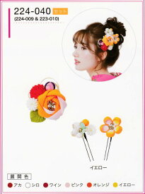 髪飾り ヘアアクセサリー ブランド 振袖 成人式 卒業式 に使える コーム （全6種類）No.224-040