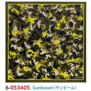 REFRAIN(tCjEӂ낵ESunbeamiTr[jENo.053405