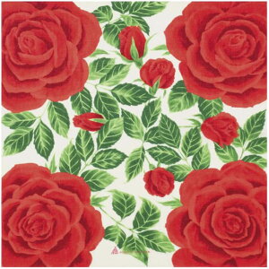 ȏӂ낵 o 50cm  No.yamb02a