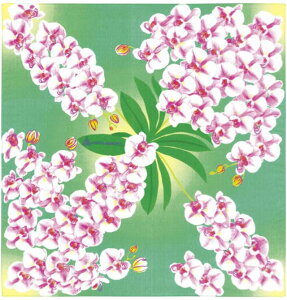 ȏӂ낵 Ӓ 50cm  No.yamb05