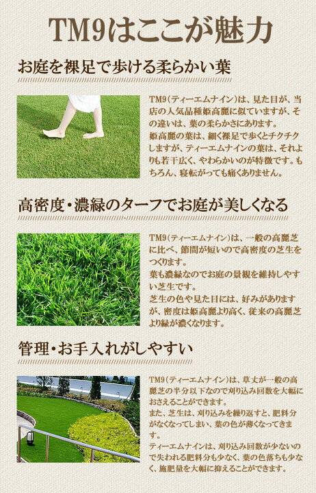 楽天市場 芝生 Tm9 2平米 ティーエムナイン 鹿児島産 高麗芝 手入れが楽 簡単で見た目もキレイな芝生 楽天市場芝生ジャンル連続1位獲得 やっぱり人工芝より天然芝 ガーデニング Diy 美景観 省管理 少ない肥料 店頭受取対応商品 プロジェクト鹿児島