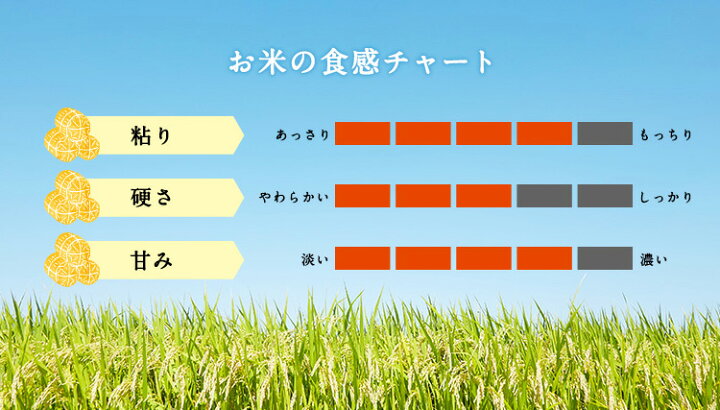 楽天市場】令和4年産 新米 令和4年 富山県産 富富富（ふふふ） お試し1袋 （300g 約2合） 米 300グラム お米 【送料無料】メール便  グルメ食品 : 五ツ星お米マイスター大門食糧