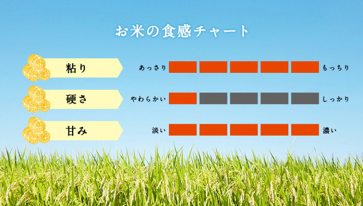 楽天市場】令和7年産 米 富山県産もち米 新大正糯 1.5kg 米 富山県産 