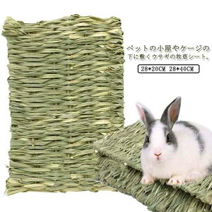 V[g nX^[ V[g K[h bg V[c gCV[g ybg}bg ETM }bg qV[g   ObY ybgObY p K[h