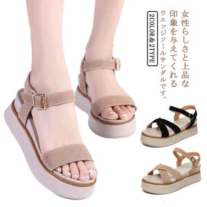 Xgbv ₷ fB[X EGbW\[ ₷ y r T_ Xgbv RtH[g  