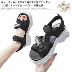 fB[X X|[cT_ ăr[T T_ ʋC悢 6cm X|[cT_ r ɂ xN ₷ RtH[g V[Y X|T  nCLO 