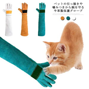 セーフティ グローブ 犬用しつけグッズの人気商品 通販 価格比較 価格 Com