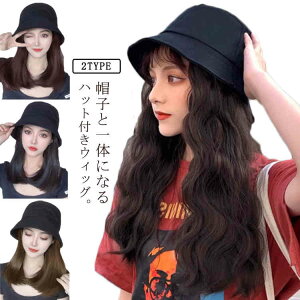 tXq RXv  Z~O ECbOtnbg~fBA J[  R fB[X ×pXq Xg[g   ig  R l i` 