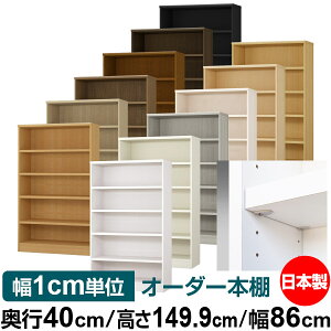 収納棚 奥行40の通販 価格比較 価格 Com 収納棚 奥行40の通販 価格比較 価格 Com