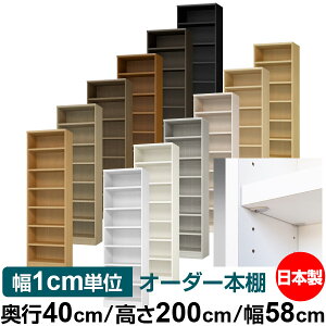 収納棚 奥行40の通販 価格比較 価格 Com