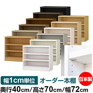 本棚 収納棚 奥行40の人気商品 通販 価格比較 価格 Com 本棚 収納棚 奥行40の人気商品 通販 価格比較 価格 Com
