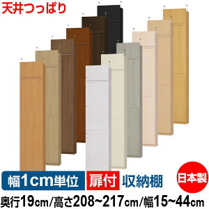 V ς t I[_[ {I [ I I bN TCYI[_[ ^ yzI[_[}`bN s19cm 208`217cm 15`44cmyW^Cvzy{[ Vv  X