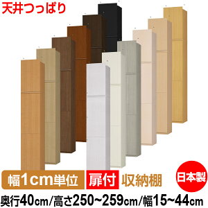 V ς t I[_[ {I [ I I bN TCYI[_[ e yzI[_[}`bN s40cm 250`259cm 15`44cmyW^Cvzy {[ Vv  I 