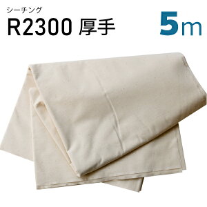 V[`OR2300@@5mJbgin@D@n@炵@N@K[[@p@ȁ@100@lp@qp@Ƃȁ@n@@D@~V@nhCh@@j