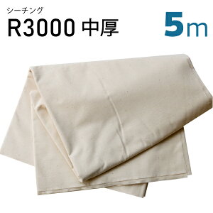 V[`OR3000@@5mJbgiʒn@ԁ@ʁ@D@n@炵@N@K[[@p@ȁ@100@lp@qp@Ƃȁ@n@@D@~V@nhCh@