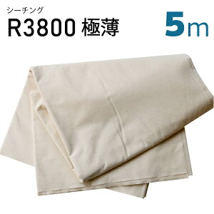 V[`OR3800@@5mJbgin@D@n@炵@N@K[[@p@ȁ@100@lp@qp@Ƃȁ@n@@D@~V@nhCh@@j