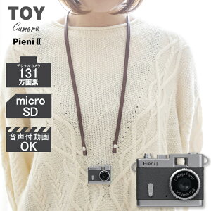 gCJ@ DSC-PIENI II GYiO[@J[@[d@PC]@fW^@g@q@l@@J@Be@@ANZT[@nhCh@i@B@PR[j