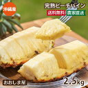 スーパーSALE 沖縄 パイナップル 送料無料 ピーチパイン 2.5kg (約2玉-9玉入り)食品 グルメ ギフト プレゼント パイン ミルクパイン 島パイン ...