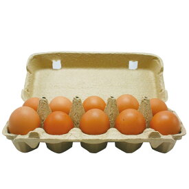 卵 玉子 10個 セット (毎週木・金出荷) 熊本 たまご 安全 安心さくら卵 もみじ卵 送料別 ＜おおしま屋発送の冷蔵便と同梱可能＞ 大嶌屋（おおしまや）